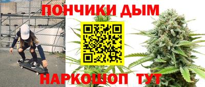 шишки Бузулук