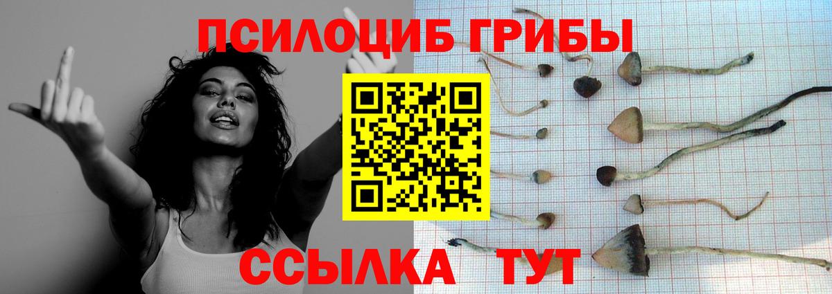 Галлюциногенные грибы Magic Shrooms Приморско-Ахтарск