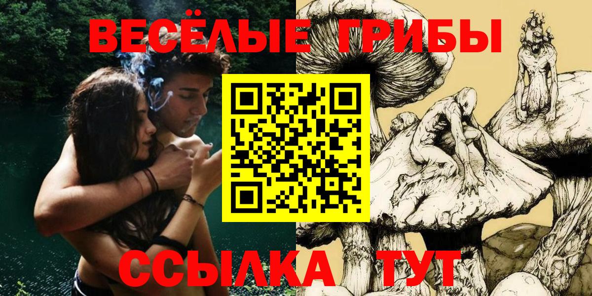 Приморско-Ахтарск  Псилоцибиновые грибы Psilocybine cubensis  Вход с VPN  как найти наркотики  Галлюциногенные грибы MAGIC MUSHROOMS 